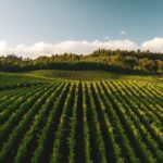 Sustainable Techniques: Field Demonstrations