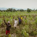 Harvest Celebrations: Moments of Joy
