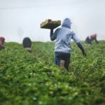Women Leading the Way: Empowerment in Action